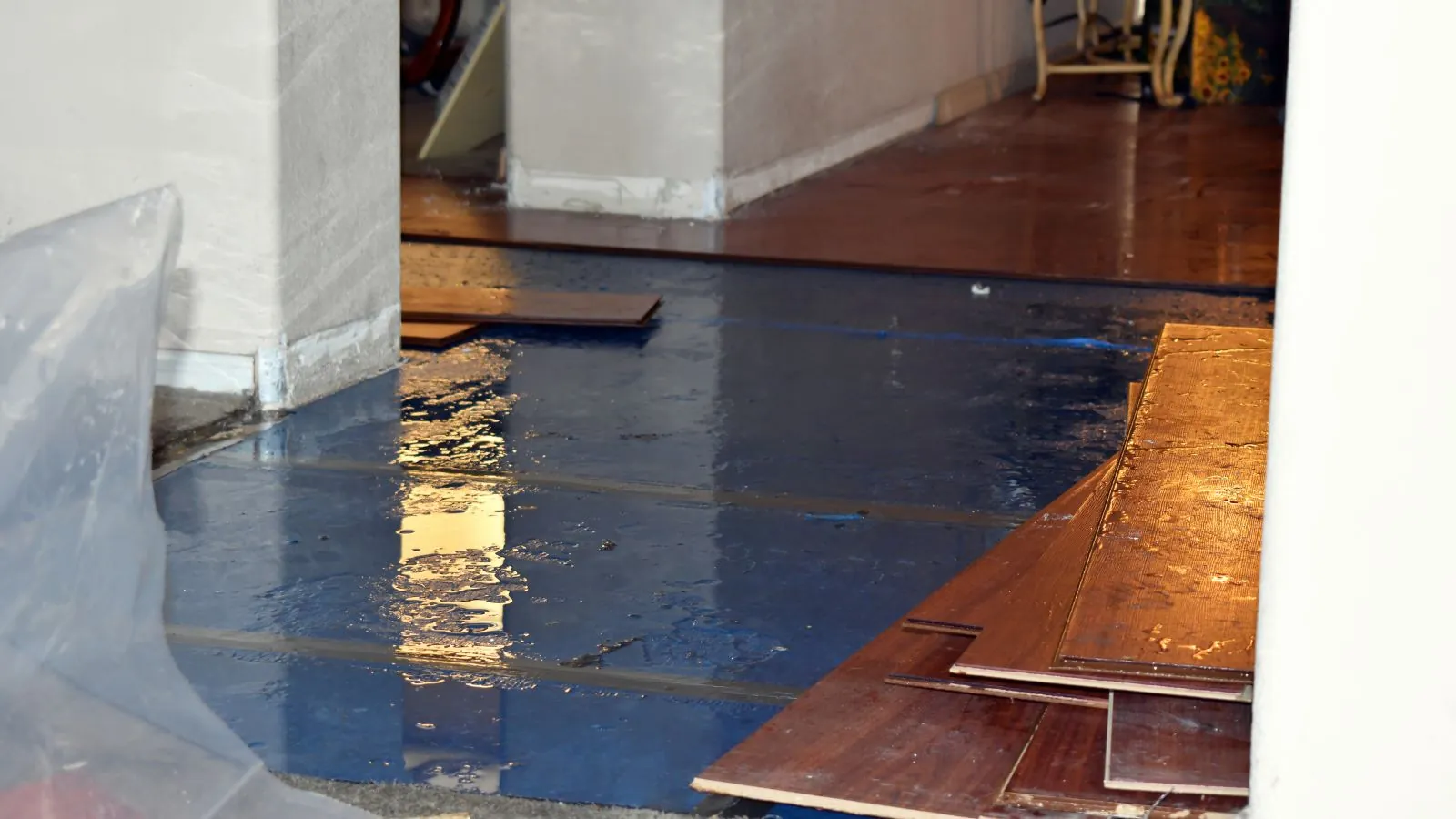 Hardwood planks lifted off a wet subfloor under plastic sheeting