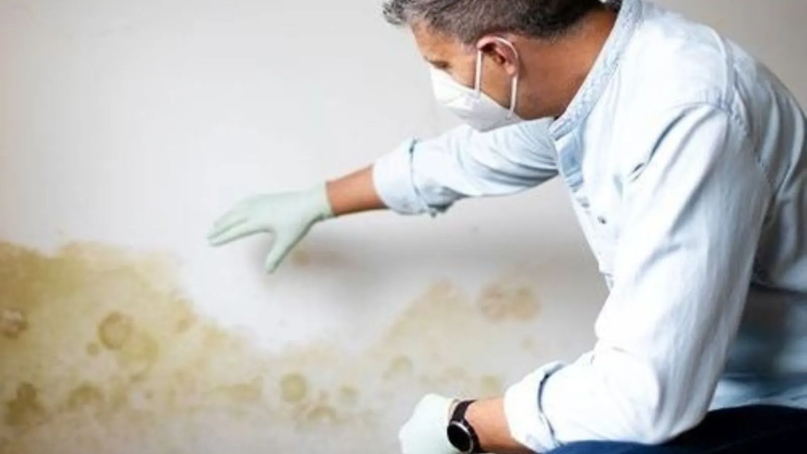 Man in a mask and gloves checking a water stain on a wall